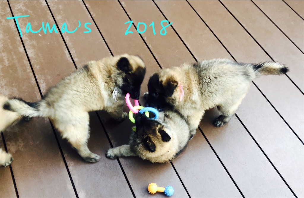 f:id:La-Plume-Douce:20180928220526j:image