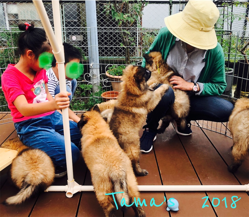 f:id:La-Plume-Douce:20180930215724j:image f:id:La-Plume-Douce:20180930215724j:image