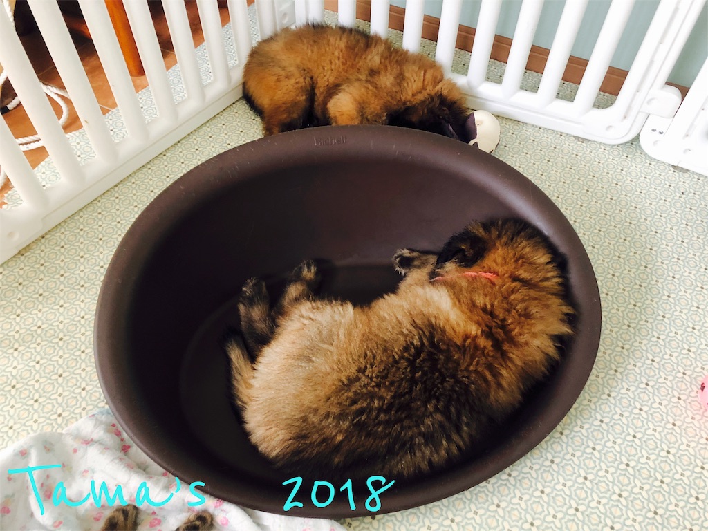 f:id:La-Plume-Douce:20180930220419j:image f:id:La-Plume-Douce:20180930220419j:image