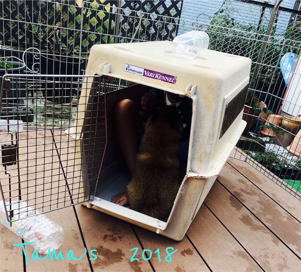 f:id:La-Plume-Douce:20181010183917j:image