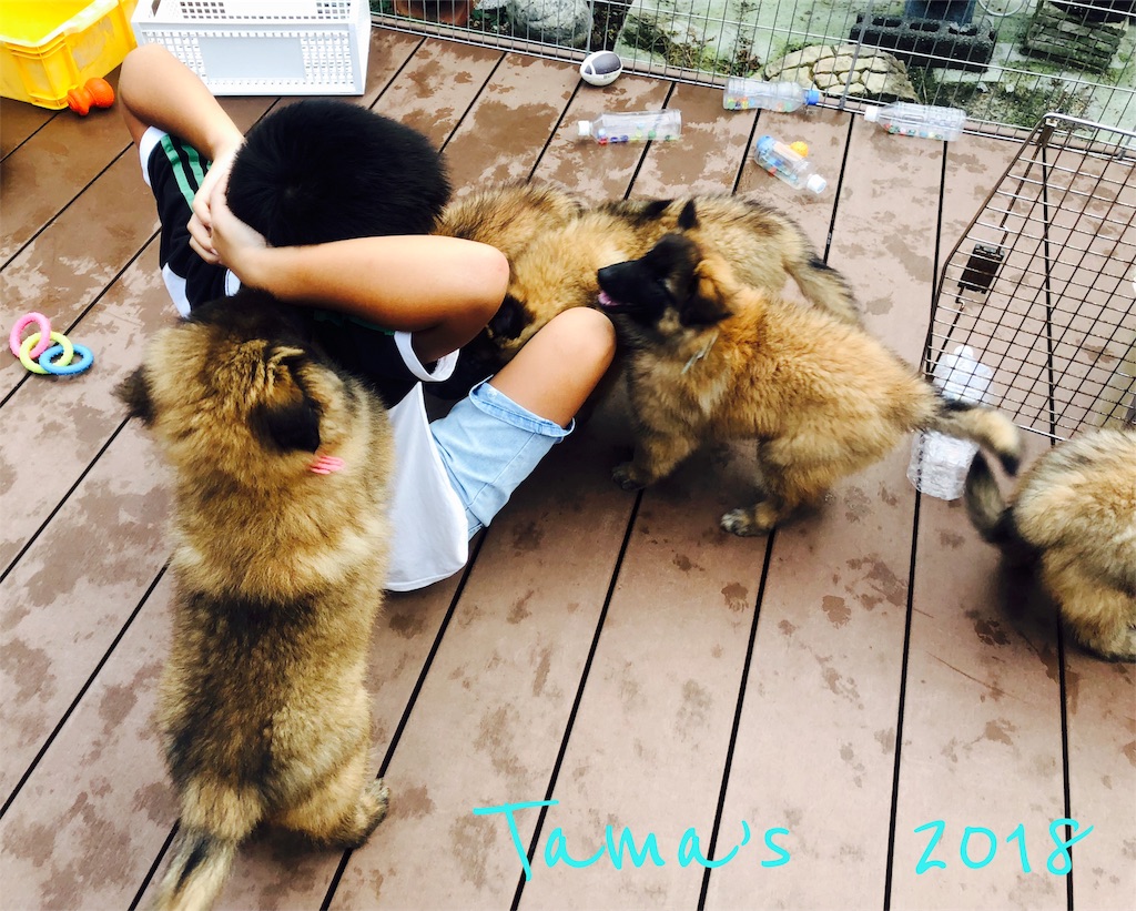 f:id:La-Plume-Douce:20181010183928j:image