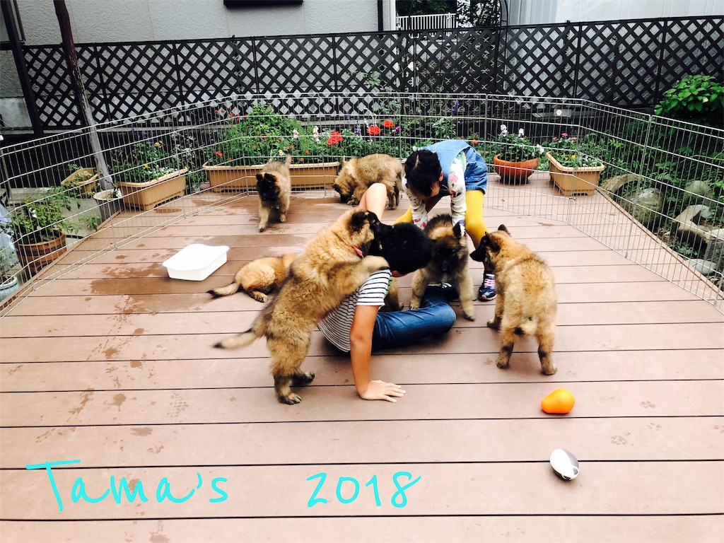 f:id:La-Plume-Douce:20181013182448j:image