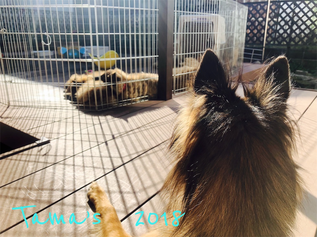 f:id:La-Plume-Douce:20181022192623j:image f:id:La-Plume-Douce:20181022192623j:image
