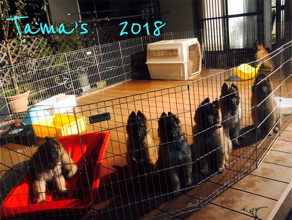 f:id:La-Plume-Douce:20181022192714j:image f:id:La-Plume-Douce:20181022192714j:image