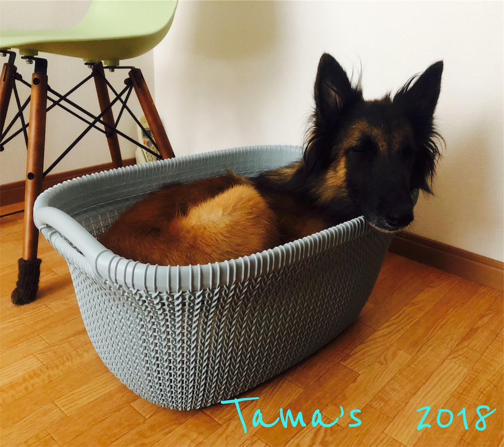 f:id:La-Plume-Douce:20181026205248j:image