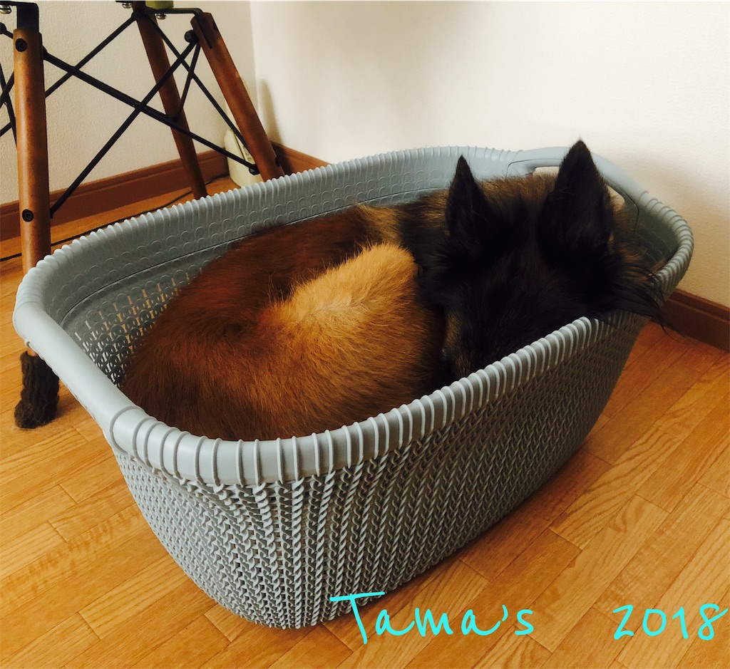 f:id:La-Plume-Douce:20181026205252j:image