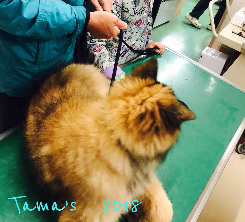 f:id:La-Plume-Douce:20181104155446j:image