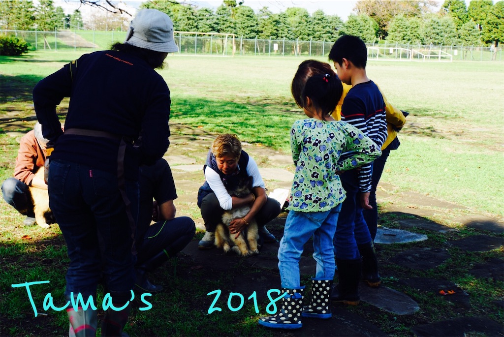 f:id:La-Plume-Douce:20181113145234j:image