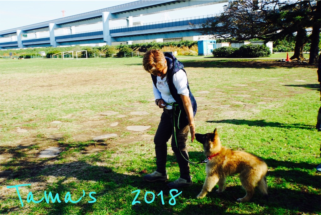 f:id:La-Plume-Douce:20181113145248j:image