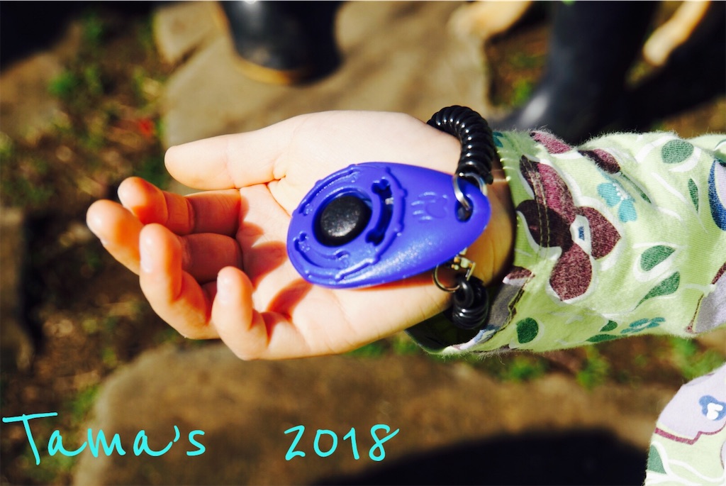 f:id:La-Plume-Douce:20181113145301j:image