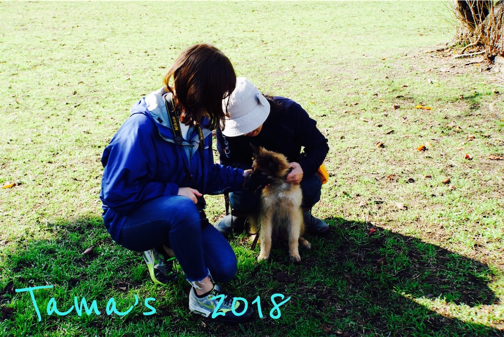 f:id:La-Plume-Douce:20181113145309j:image