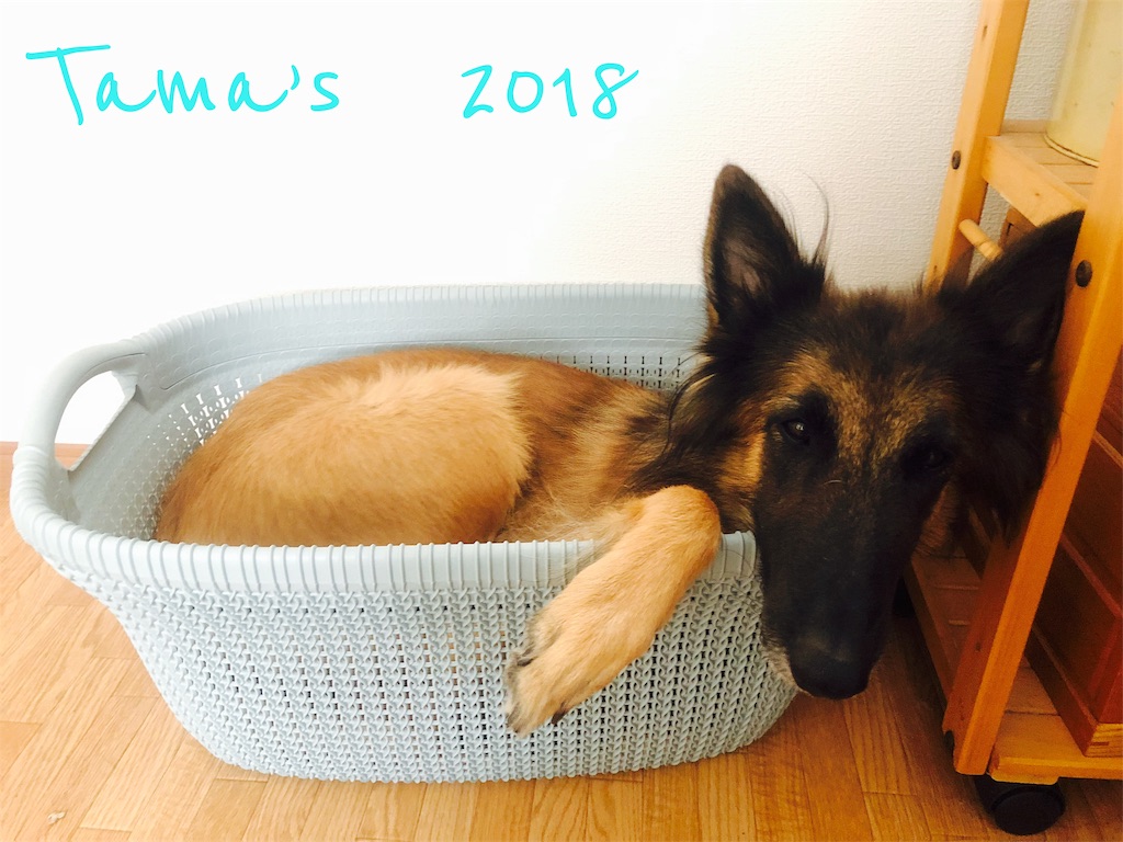 f:id:La-Plume-Douce:20181113145517j:image