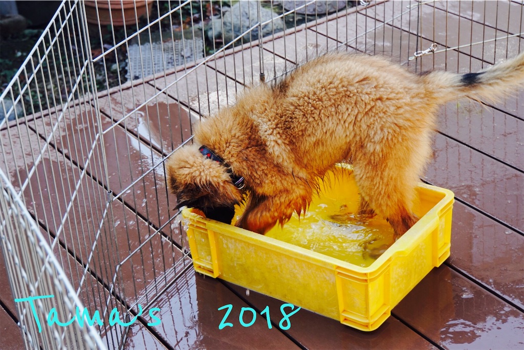 f:id:La-Plume-Douce:20181123165044j:image
