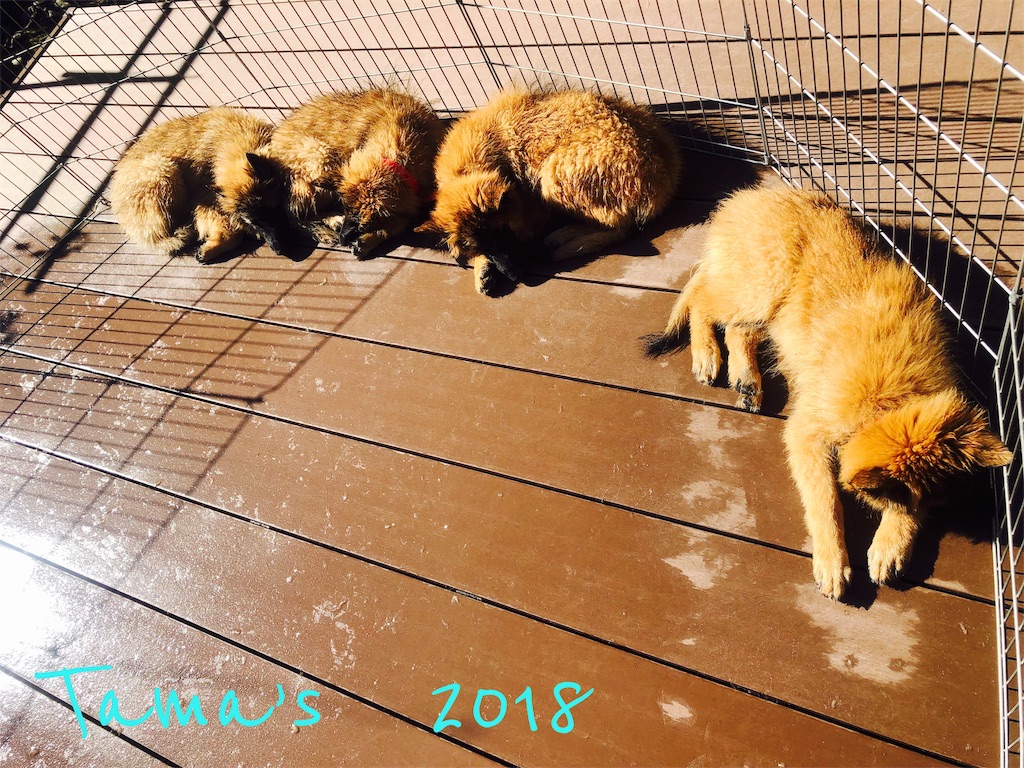 f:id:La-Plume-Douce:20181123165742j:image