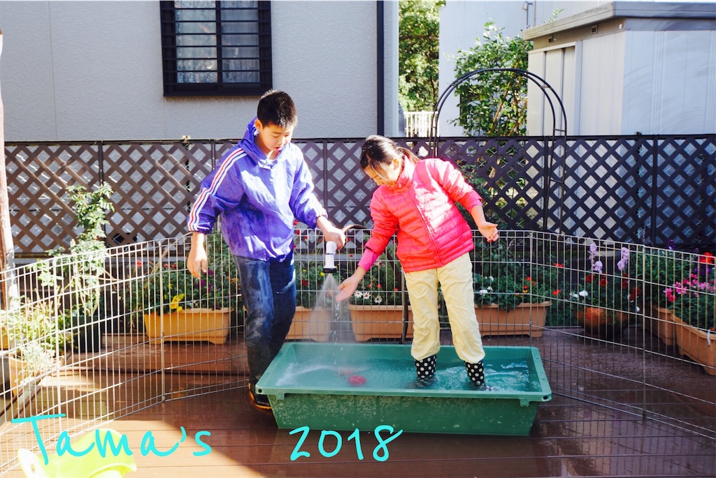 f:id:La-Plume-Douce:20181125220629j:image