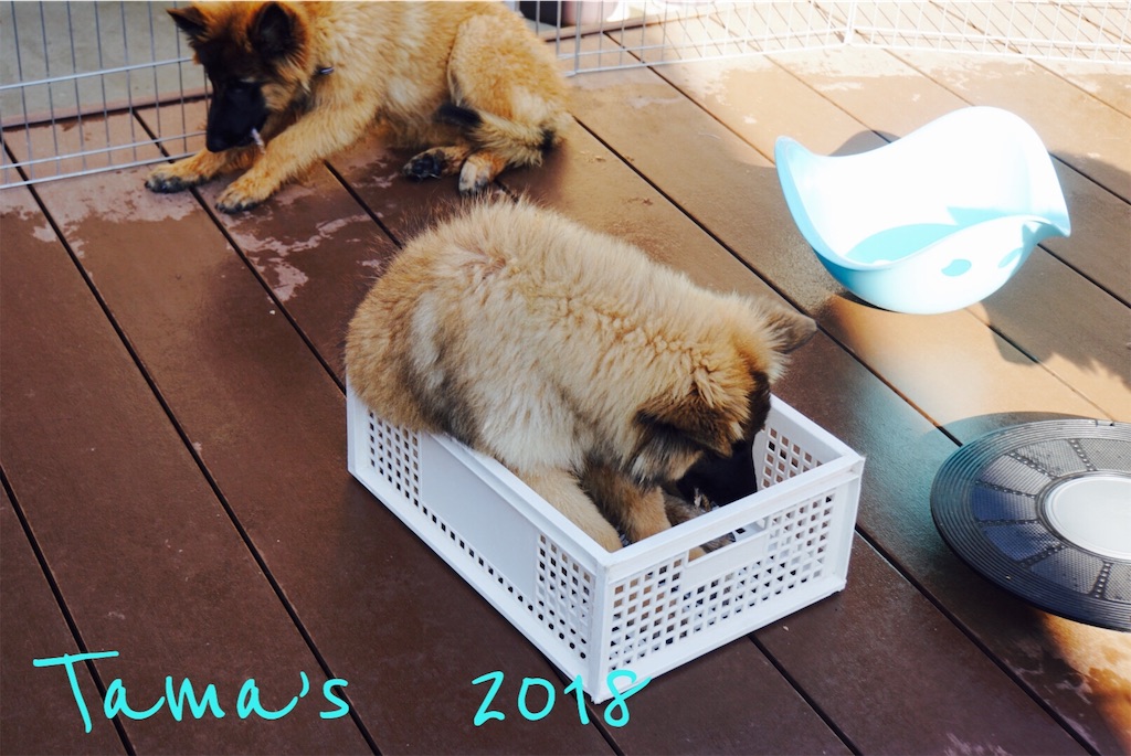 f:id:La-Plume-Douce:20181125220716j:image
