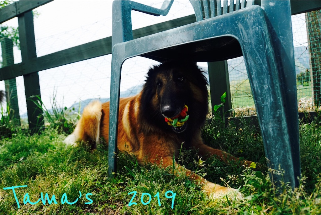 f:id:La-Plume-Douce:20190511120806j:image