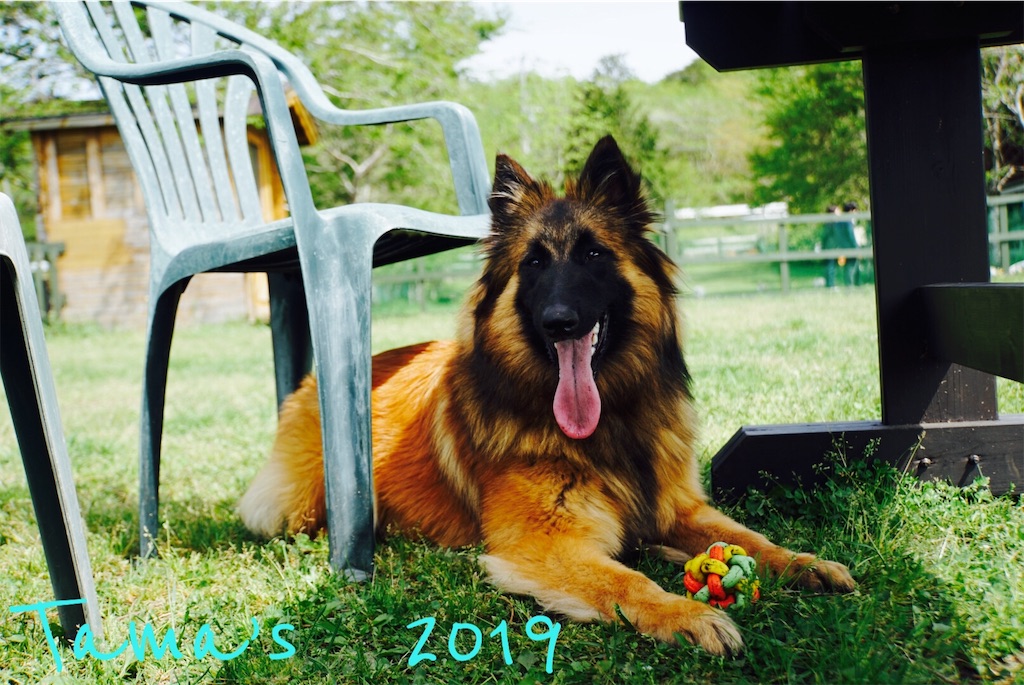 f:id:La-Plume-Douce:20190511120834j:image
