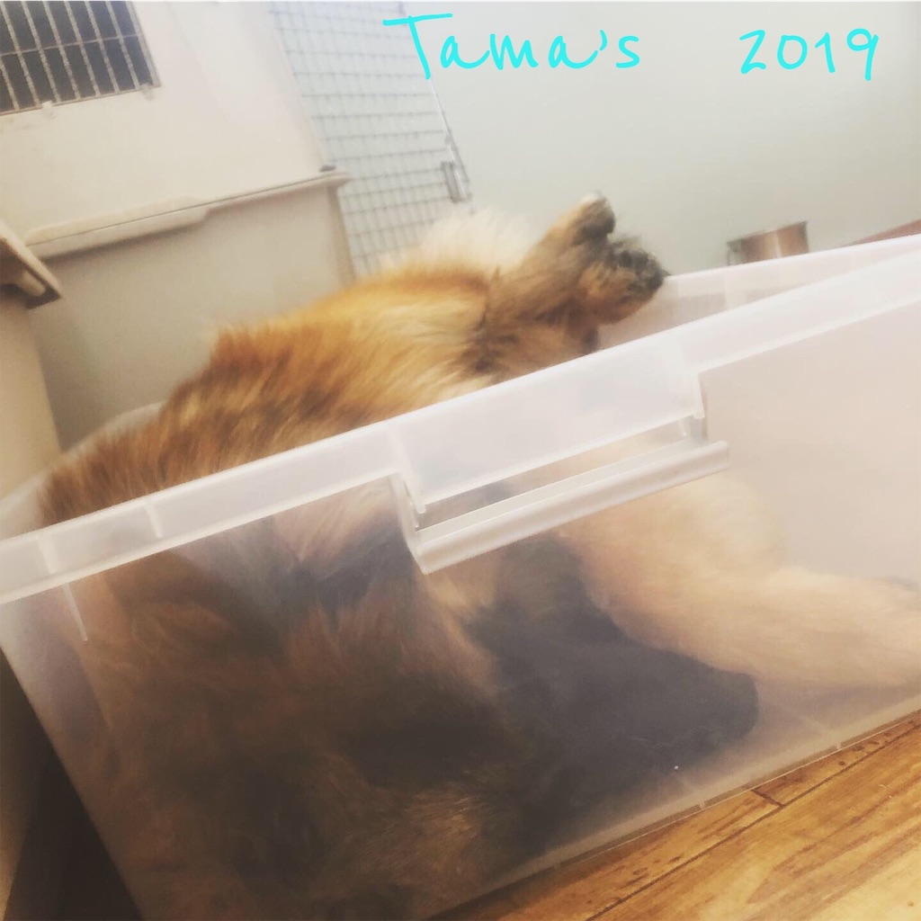 f:id:La-Plume-Douce:20190511121058j:image