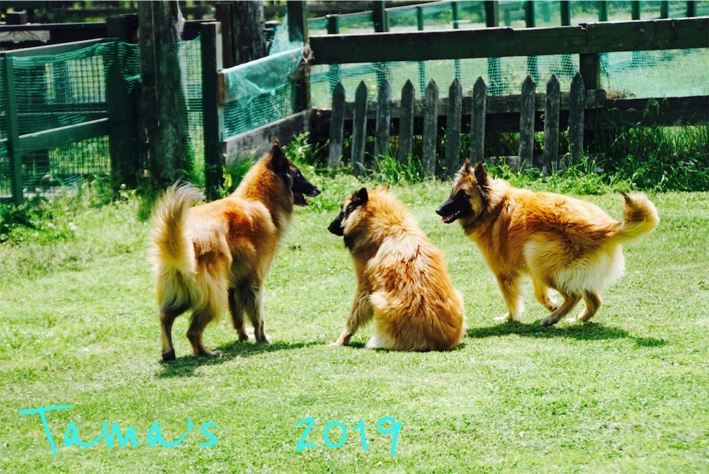f:id:La-Plume-Douce:20190511121520j:image
