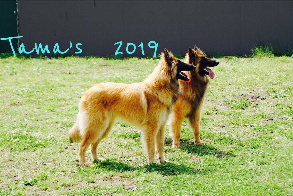f:id:La-Plume-Douce:20190511121532j:image