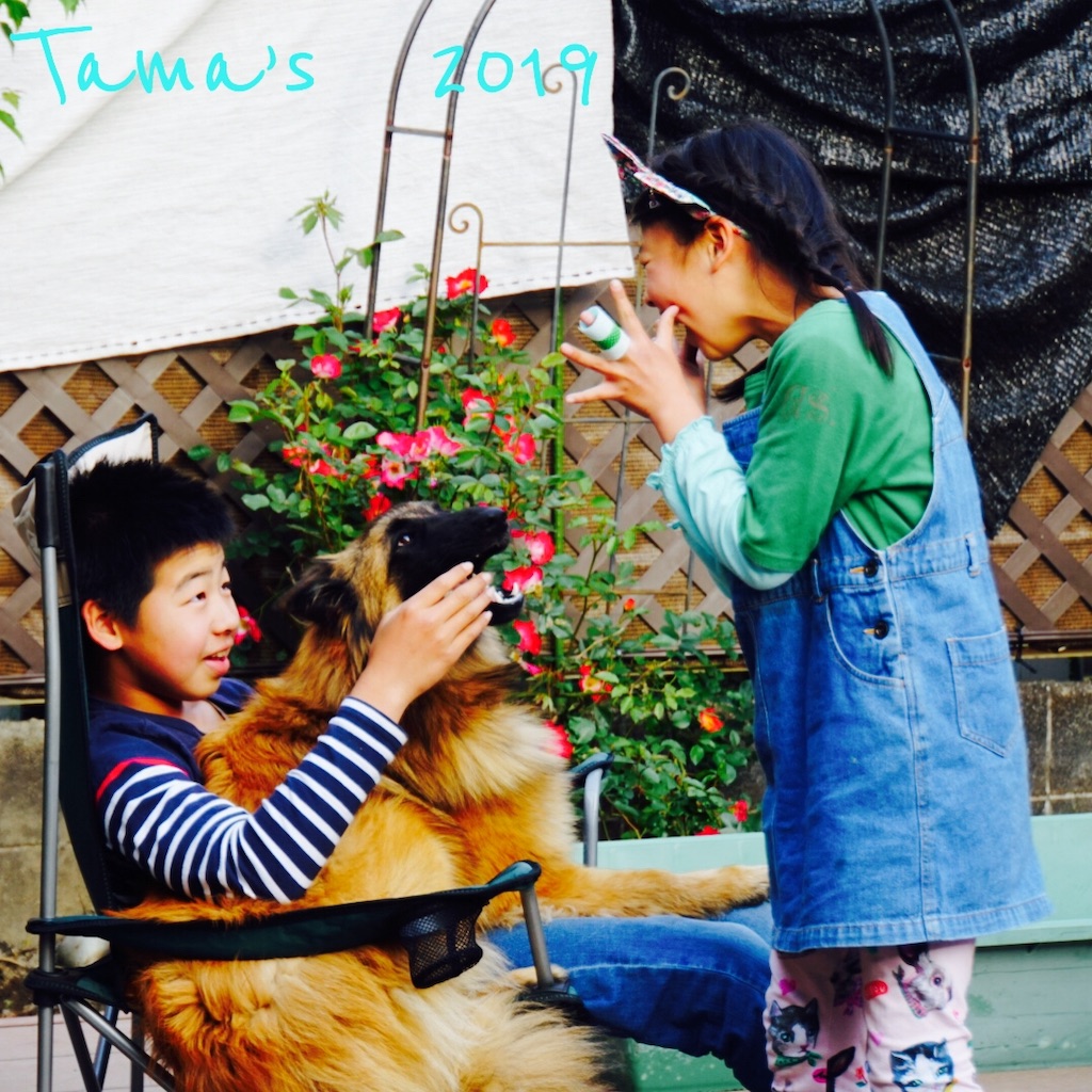 f:id:La-Plume-Douce:20190511121654j:image