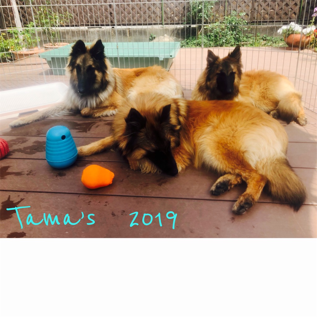 f:id:La-Plume-Douce:20190511121716j:image