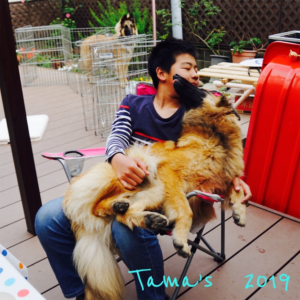 f:id:La-Plume-Douce:20190511121720j:image