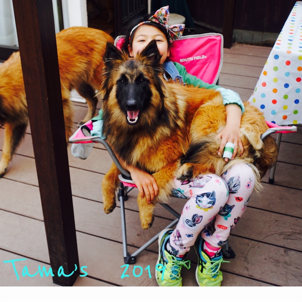 f:id:La-Plume-Douce:20190511121723j:image