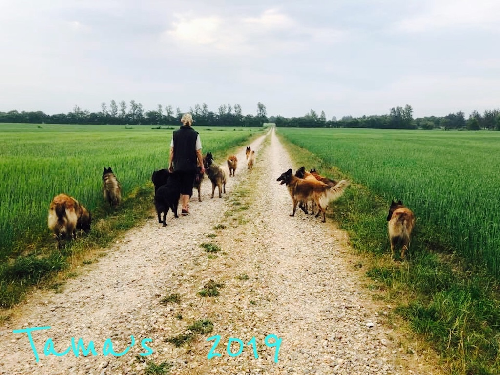 f:id:La-Plume-Douce:20190610095606j:image