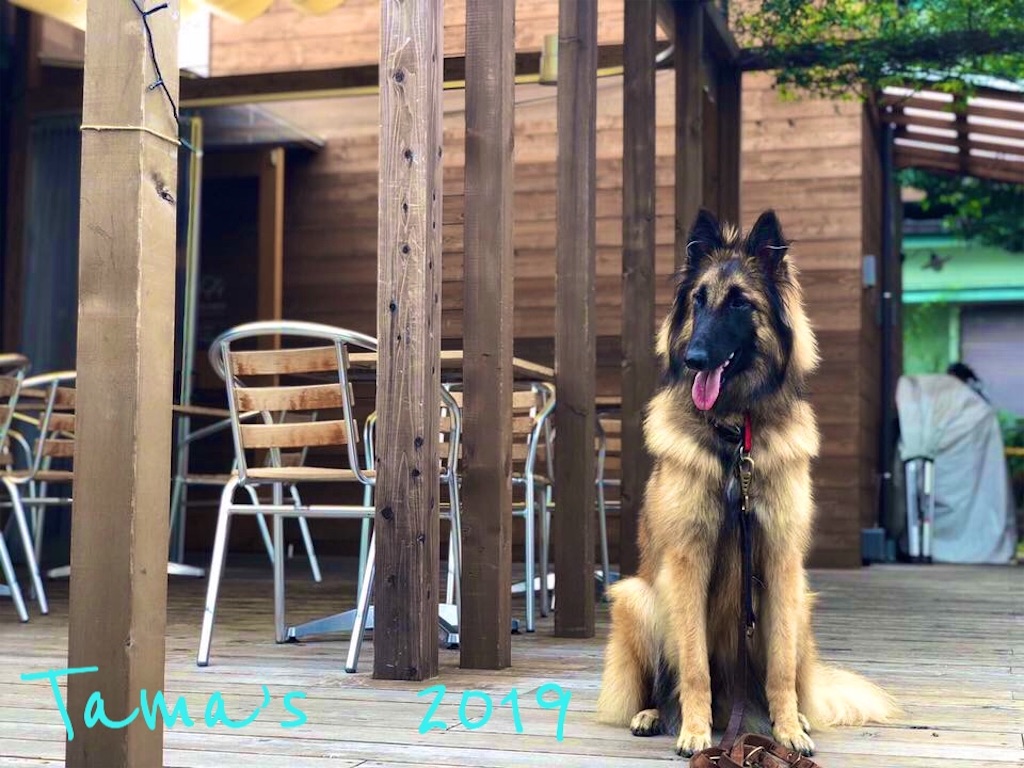 f:id:La-Plume-Douce:20190610150856j:image