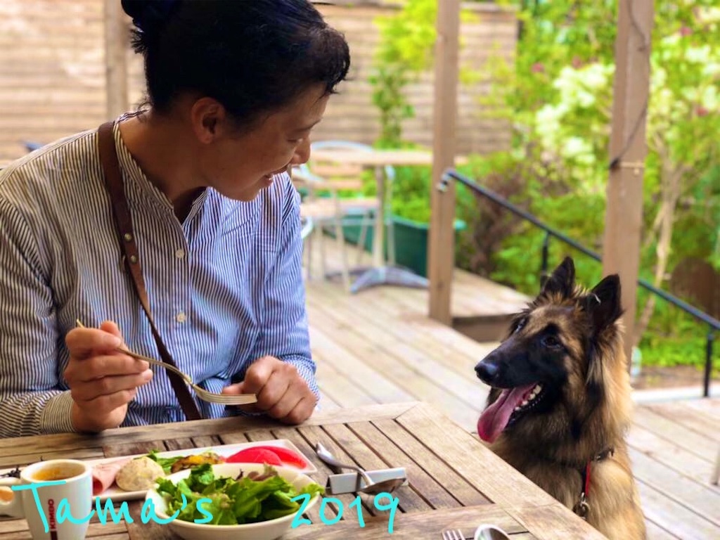 f:id:La-Plume-Douce:20190610150900j:image