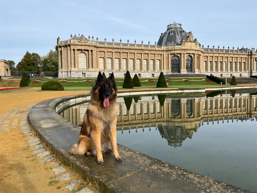 f:id:La-Plume-Douce:20231223170209j:image
