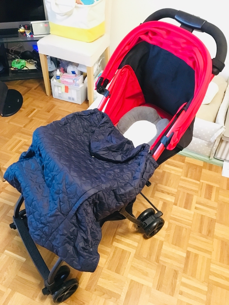 日本で念願のものをゲット☆ - LacLeman's blog