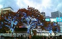 20051120新宿イルミネーション