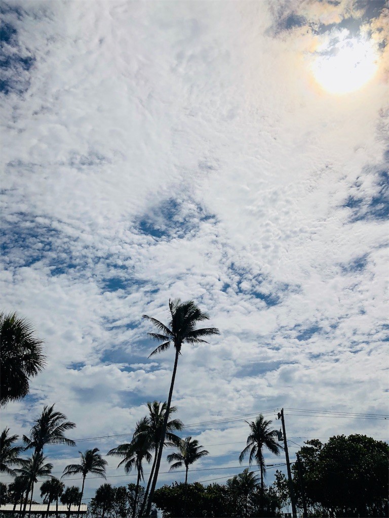 f:id:Lacy:20180508202719j:image