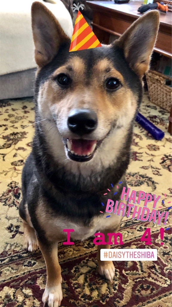 f:id:Lacy:20190408074245j:image