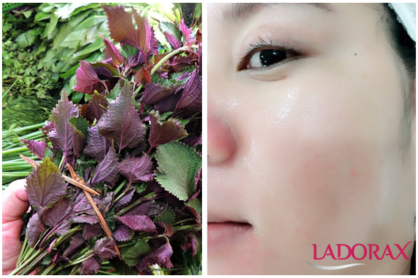 f:id:Ladorax:20180622161405p:plain