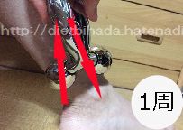f:id:Ladywoman:20161124212935j:plain