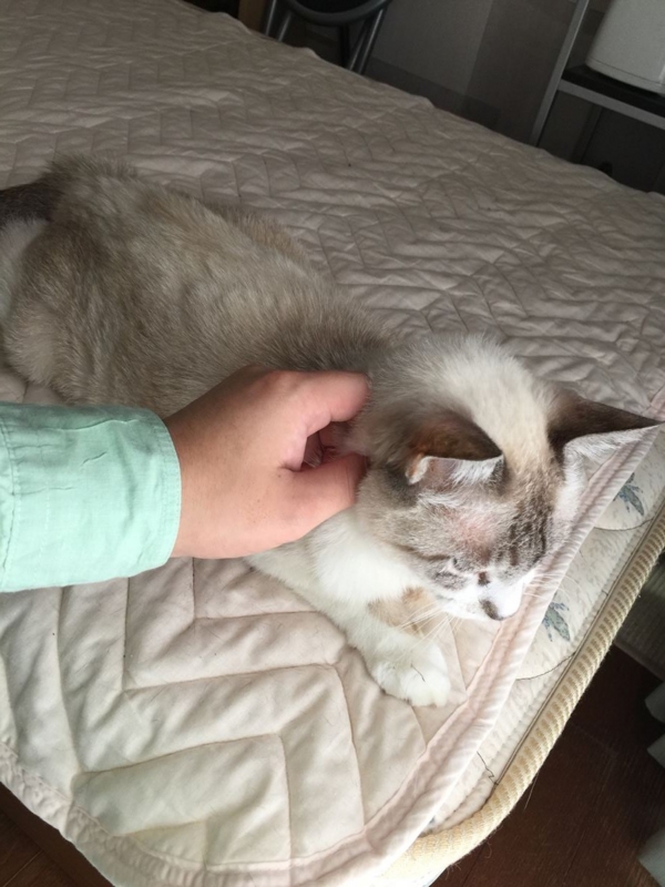 f:id:Lag_TY:20151213170703j:plain