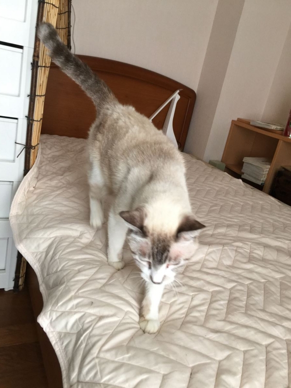 f:id:Lag_TY:20151214220528j:plain