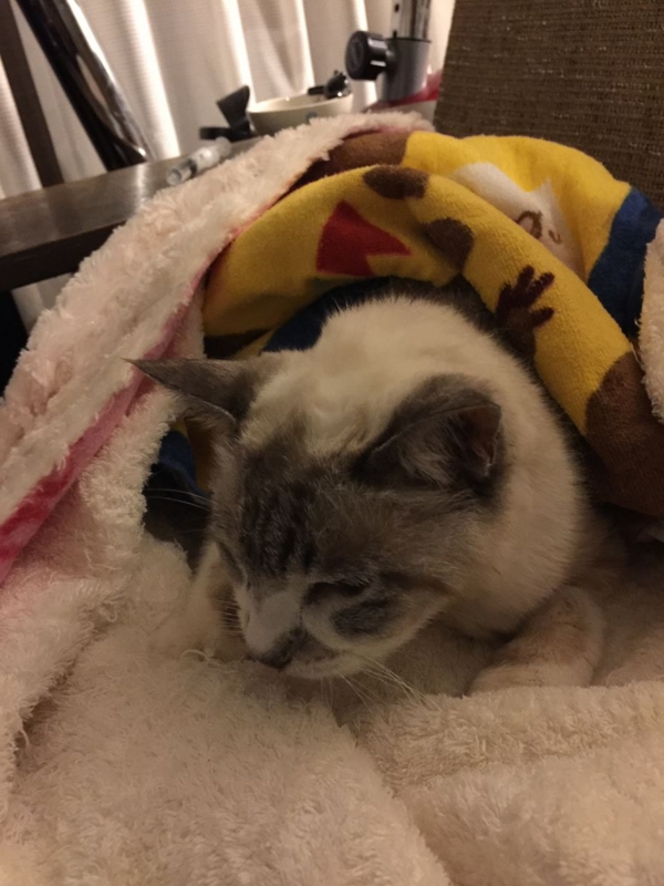 f:id:Lag_TY:20151214220620j:plain