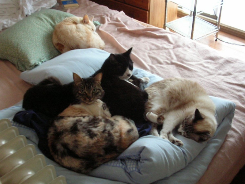 f:id:Lag_TY:20151216221210j:plain