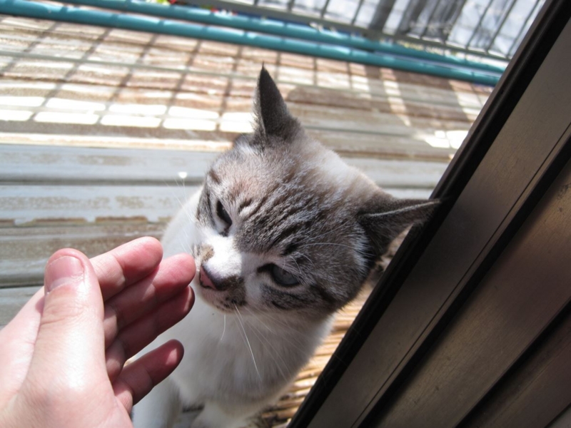 f:id:Lag_TY:20151216221248j:plain