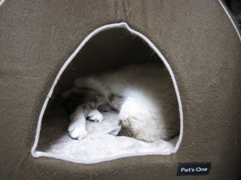 f:id:Lag_TY:20151216221252j:plain