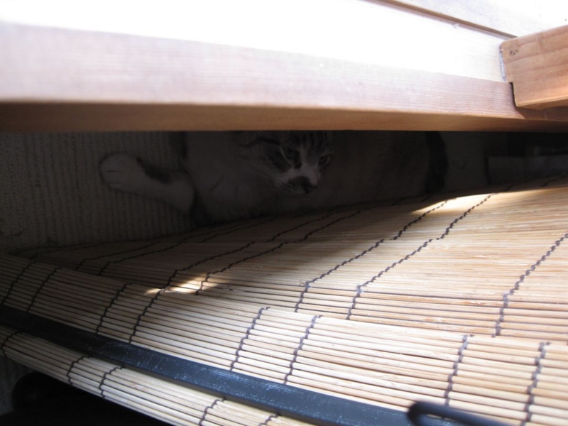 f:id:Lag_TY:20151216221253j:plain