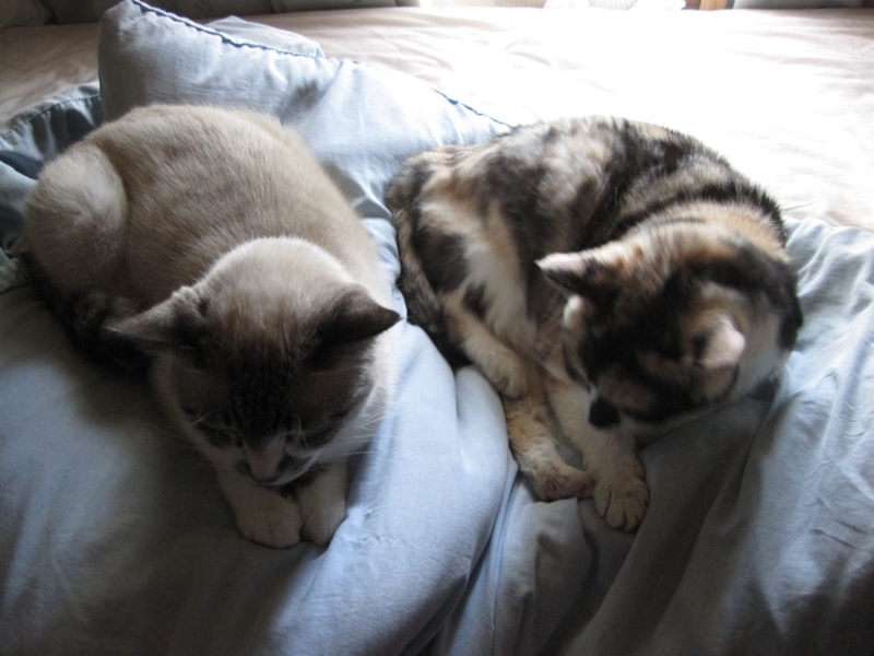 f:id:Lag_TY:20151216221301j:plain