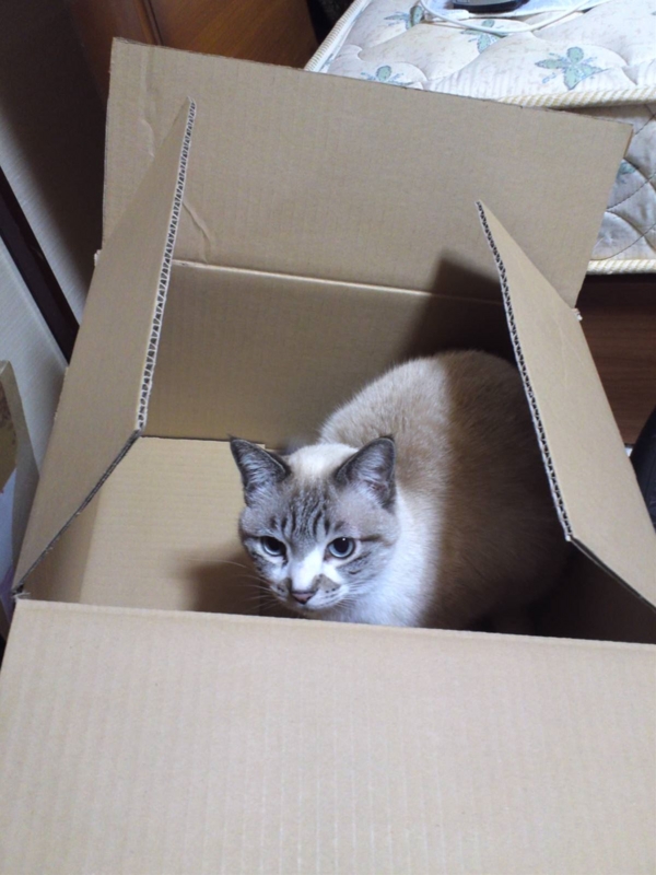 f:id:Lag_TY:20151216221315j:plain