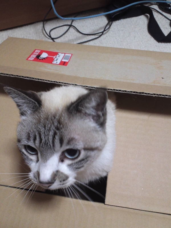 f:id:Lag_TY:20151216221316j:plain