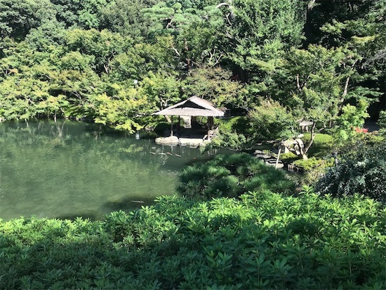 八芳園の庭園（池）